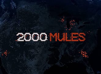 <em>2000 Mules</em> Documentary Releases, Leaks Online