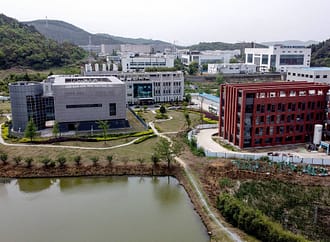 Wuhan Institute Of Virology Experimented On Monkepox Shortly Before Outbreak